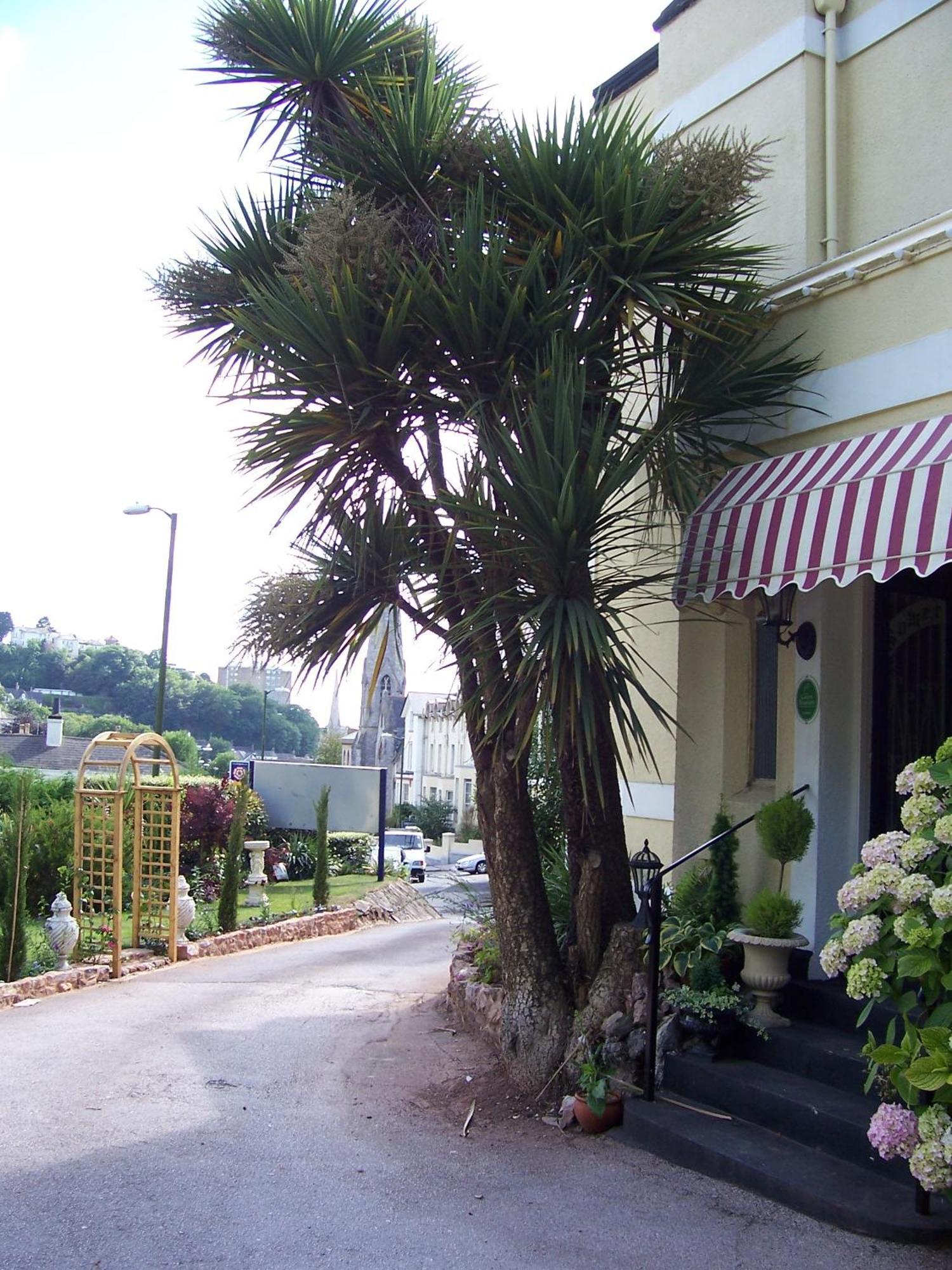 The Somerville Torquay Esterno foto